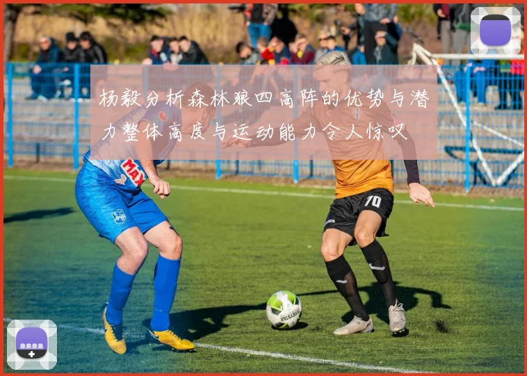 杨毅分析森林狼四高阵的优势与潜力整体高度与运动能力令人惊叹